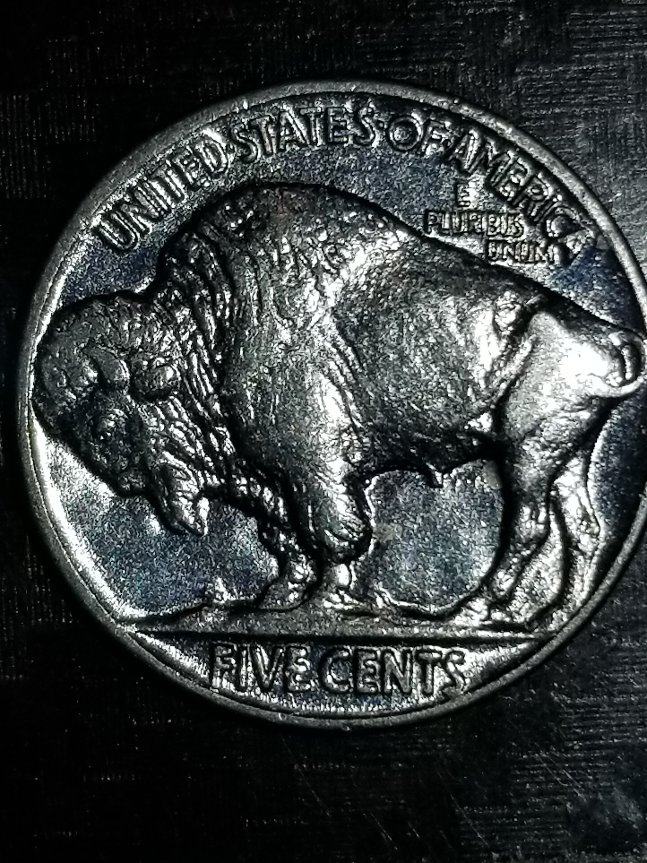 Why-Does-This-Buffalo-Nic-Look-Light--Blue